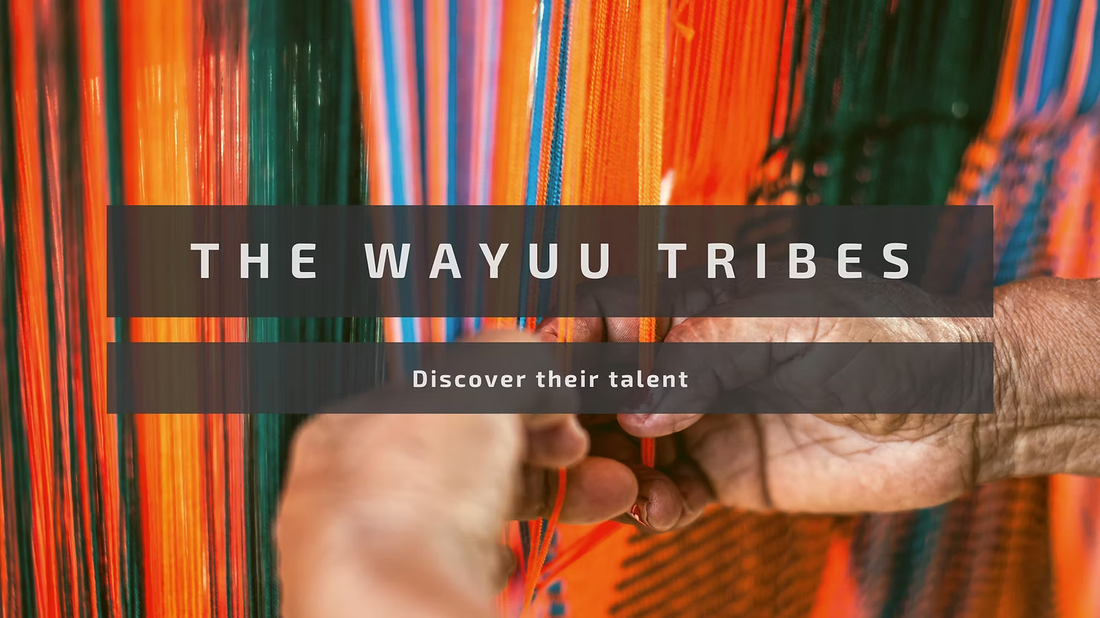 Who Are the Wayuu Tribes?